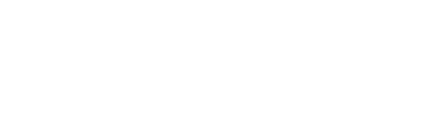 Bernie Services LLC